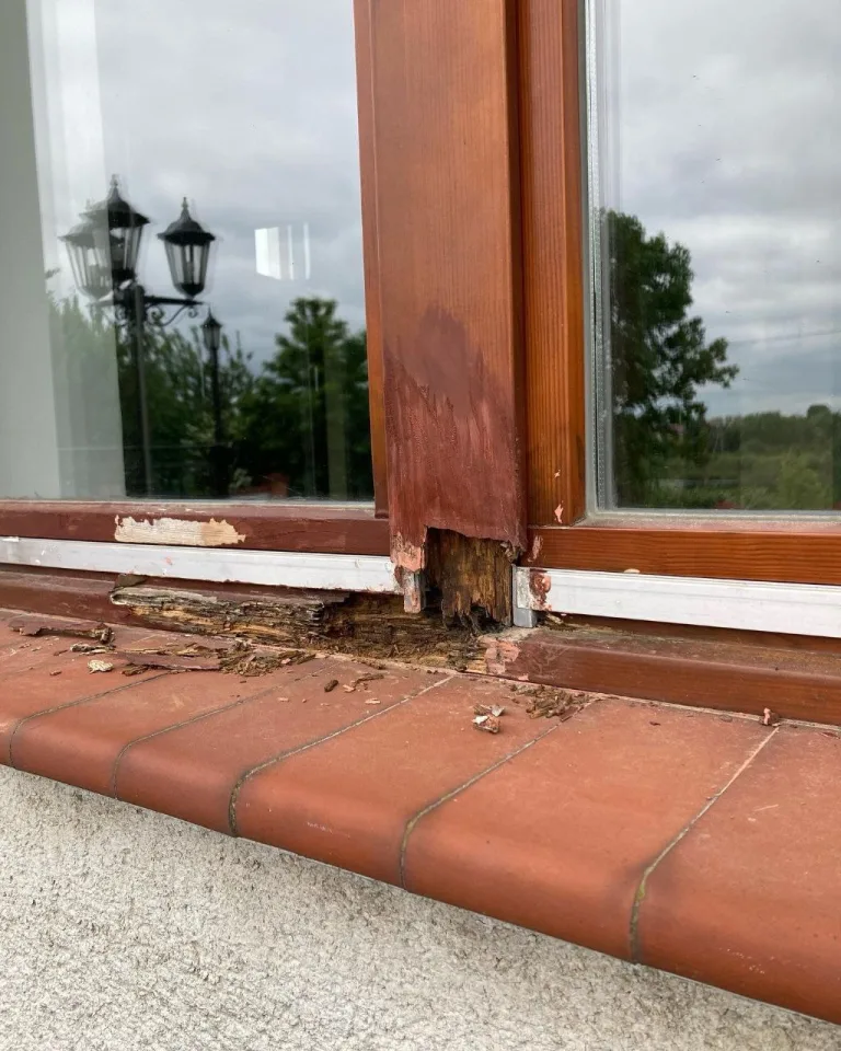 photo_2025-12-30_20-53-00 (2)